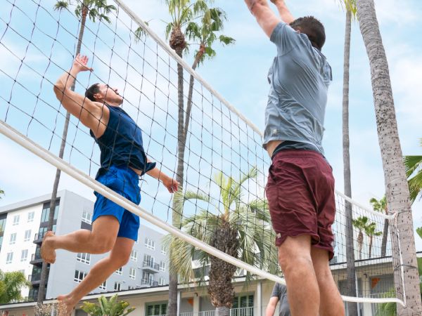 Two people are playing beach volleyball, one is jumping to spike the ball while the other is trying to block it at the net, outdoors with palm trees.