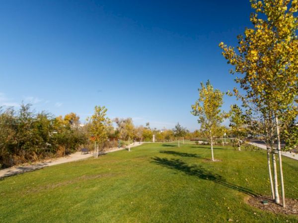A sunny park scene with a green grassy lawn, young trees, and a winding path under a clear blue sky.