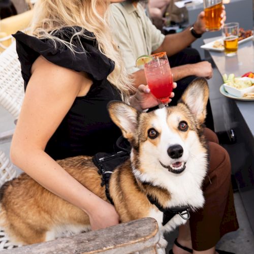 Town and Country San Diego