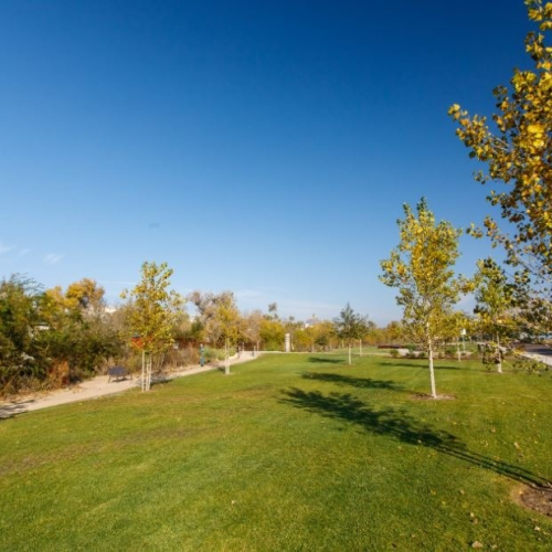 A park scene with a grassy area, a pathway, and several young trees under a clear blue sky.
