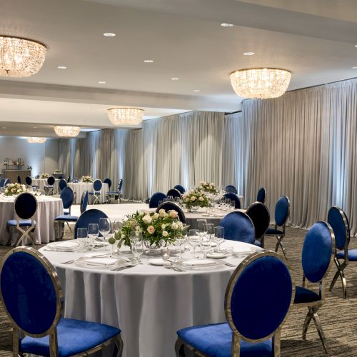 A banquet hall set up for an event with round tables, blue chairs, and floral centerpieces, under chandeliers and surrounded by curtains.