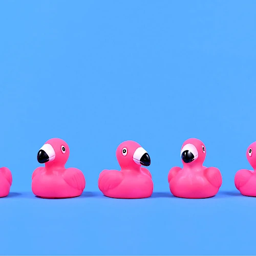 The image shows five pink rubber flamingo toys arranged in a row against a blue background.