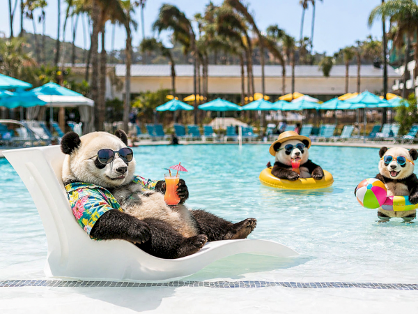 Two pandas lounge in a sunny pool&mdash;one in a float holding a drink&mdash;while others swim with colorful toys at a resort.