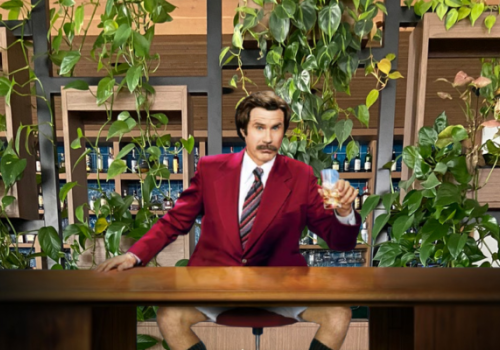 A man in a red suit jacket sits at a desk holding a glass, surrounded by greenery and shelves, notably not wearing pants.
