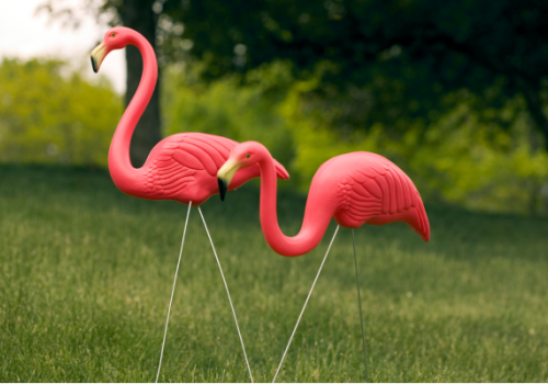 Two pink plastic flamingo lawn ornaments are placed on a grassy area with trees in the background.