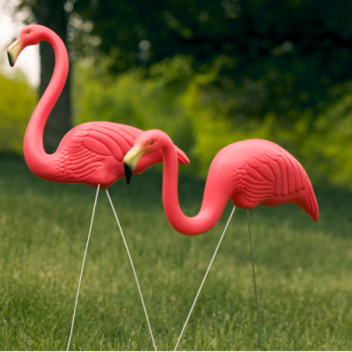 Two pink plastic flamingo lawn ornaments are placed on a grassy area with trees in the background.