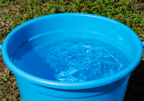 A blue plastic bucket filled with water is placed on grassy ground, reflecting ripples on the surface under natural light.
