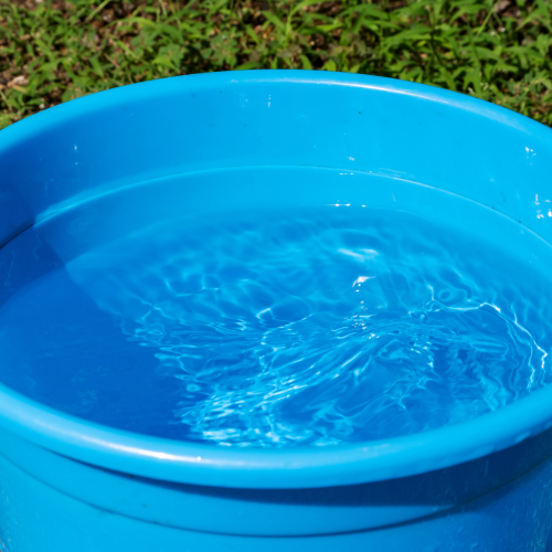 A blue plastic bucket filled with water is placed on grassy ground, reflecting ripples on the surface under natural light.