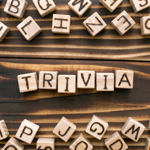 Wooden letter blocks form the word "TRIVIA," surrounded by other scattered letters on a wooden surface.