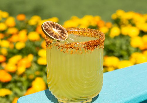 A yellow drink in a glass with a chili-rimmed edge and a dried lemon slice garnish sits on a teal surface, with flowers in the background.