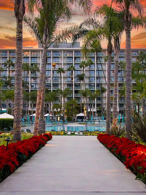 A palm-lined pathway leads to a large building with a sunset sky, surrounded by vibrant red flowers and lit-up palm trees.