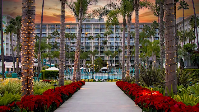 A palm-lined pathway leads to a large building with a sunset sky, surrounded by vibrant red flowers and lit-up palm trees.
